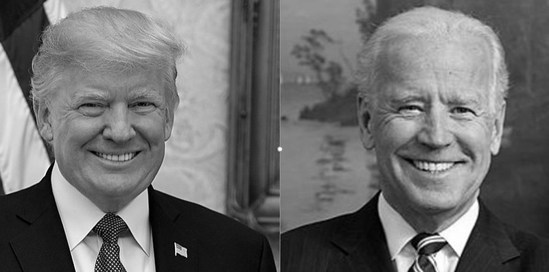 Biden vs. Trump: A partial voting guide